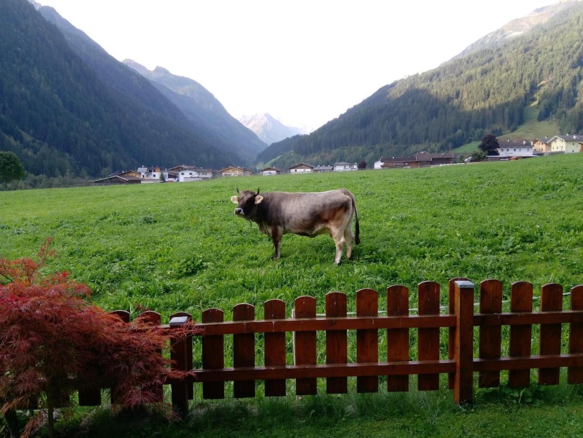Landhaus Müller Neustift im Stubaital Exterior foto